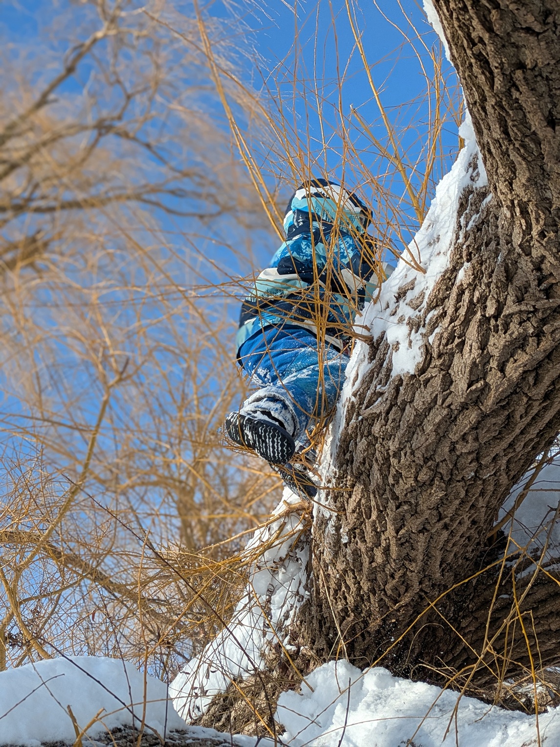 Children exploring nature